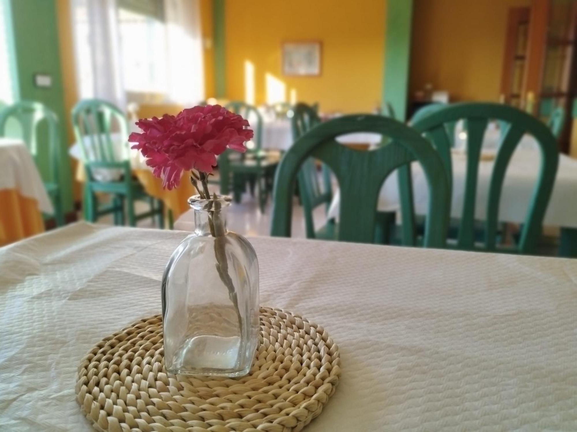 Hotel Matalenas Σανταντέρ Εξωτερικό φωτογραφία